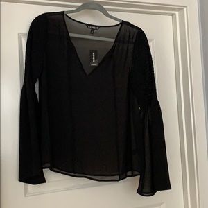 Brand New Express Sheer Top, Small